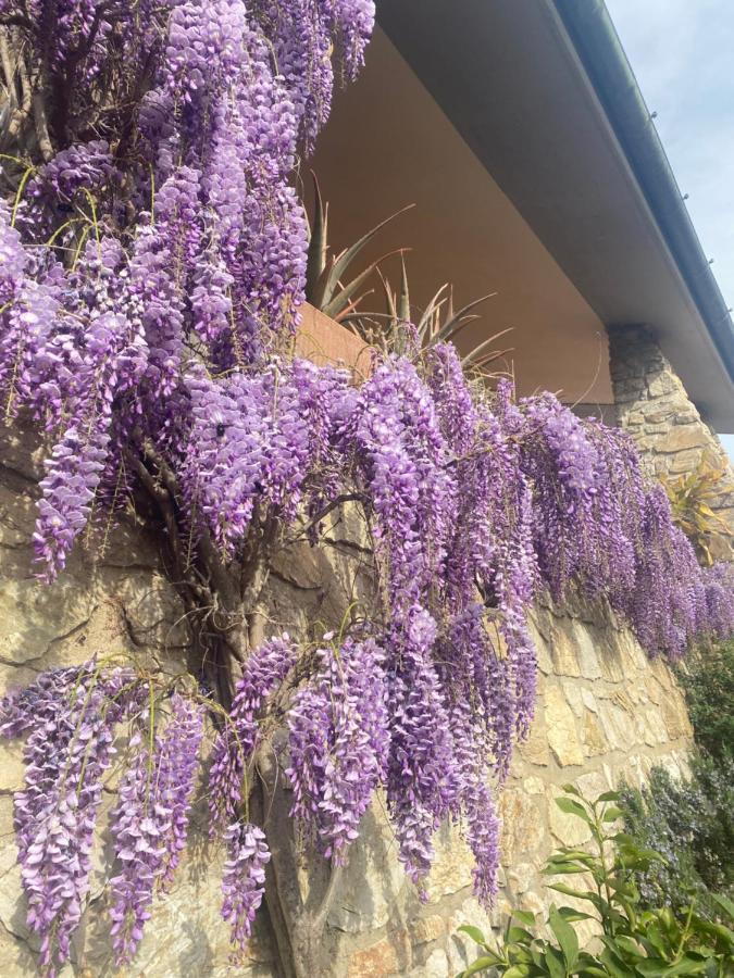 B&B Fior Di Toscana 세라발레 피스토이에세 외부 사진
